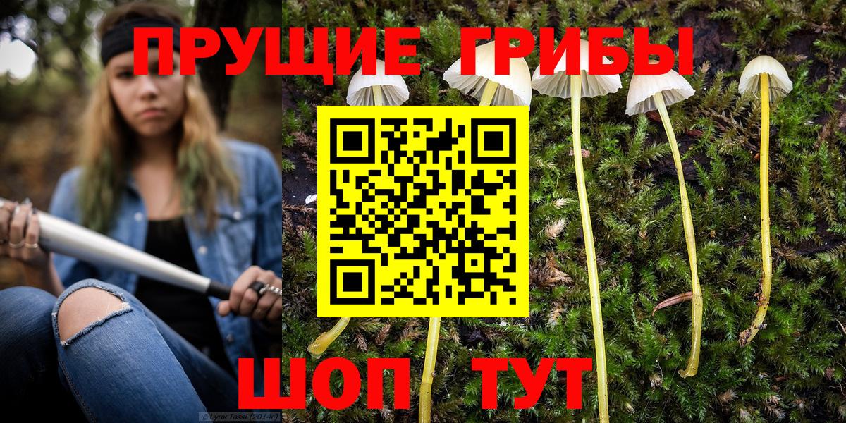 Галлюциногенные грибы Magic Shrooms Нурлат