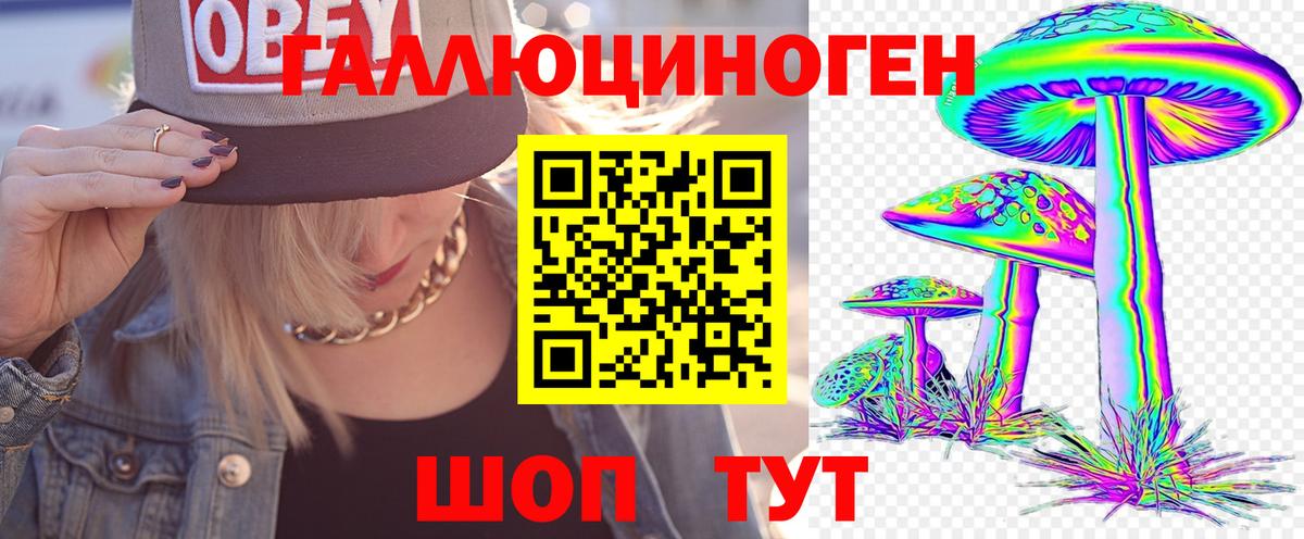 Галлюциногенные грибы Psilocybe  Вход с VPN  Нурлат 